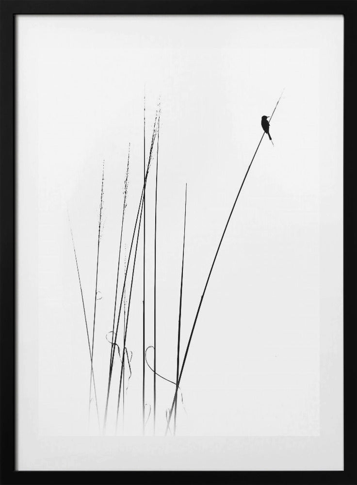 a sabbatical - Art Print by Swapniel s deshpnde