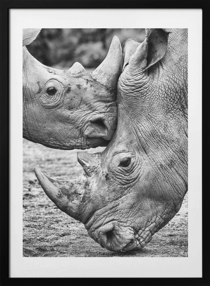 Face to face - Art Print by Jesus Concepcion Alvarado