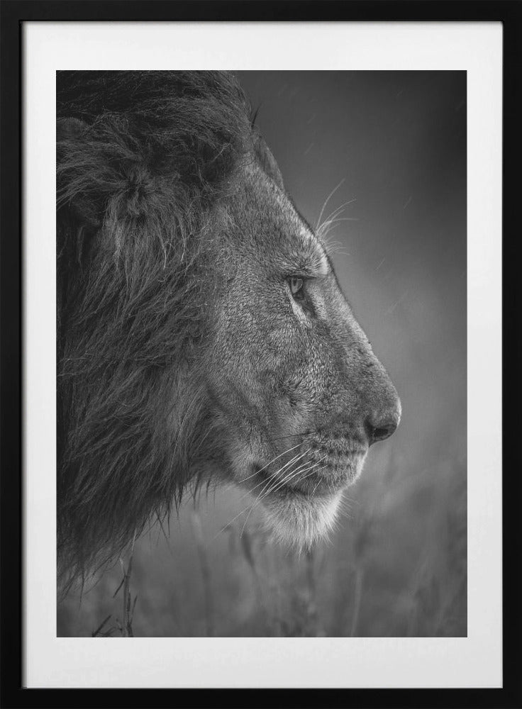 Thinking Under The Rain - Art Print by Faisal ALnomas