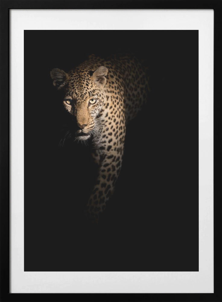 Out of the darkness - Art Print by Richard Guijt