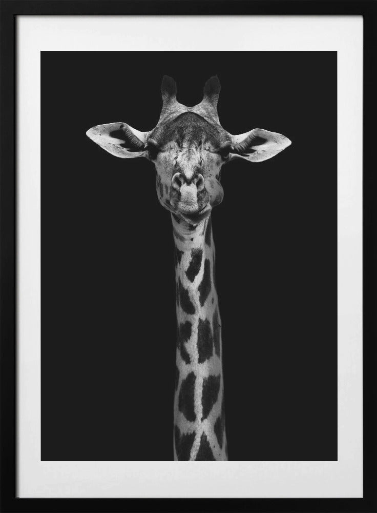 Giraffe Portrait - Art Print by WildPhotoArt