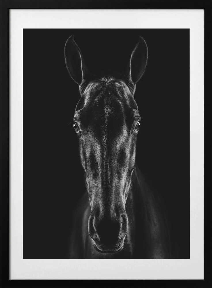 The Horse in Noir 15 - Art Print by Jackson Carvalho