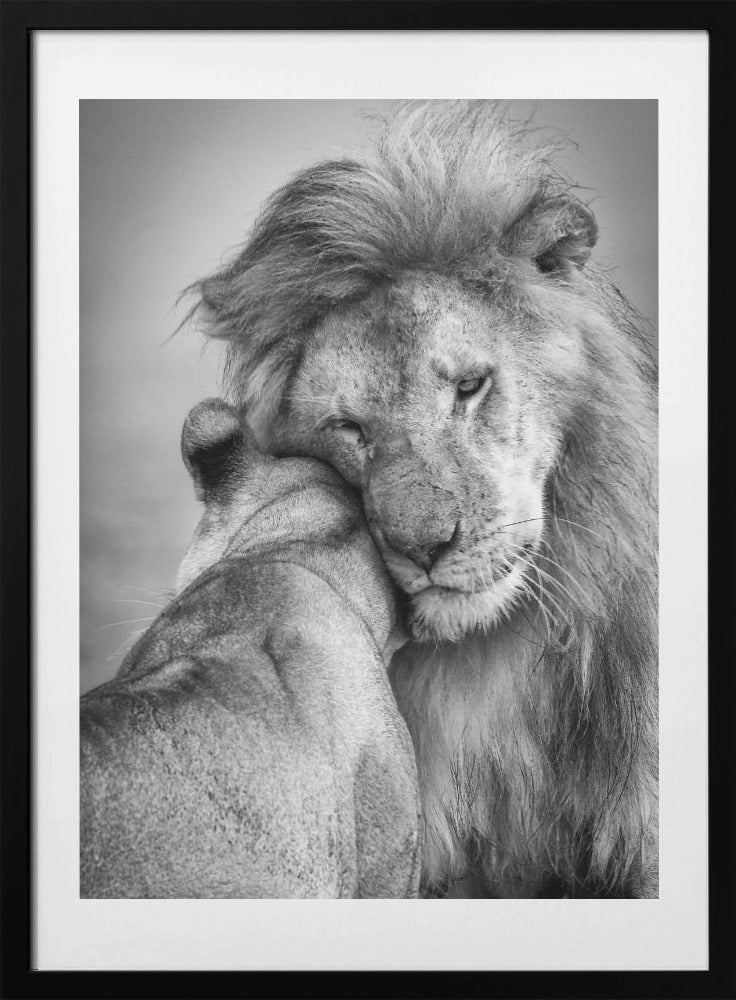 African Love! - Art Print by Ali Khataw