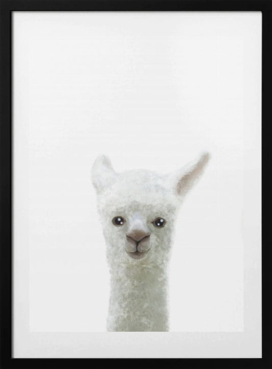 Llama - Art Print by Pictufy Studio II