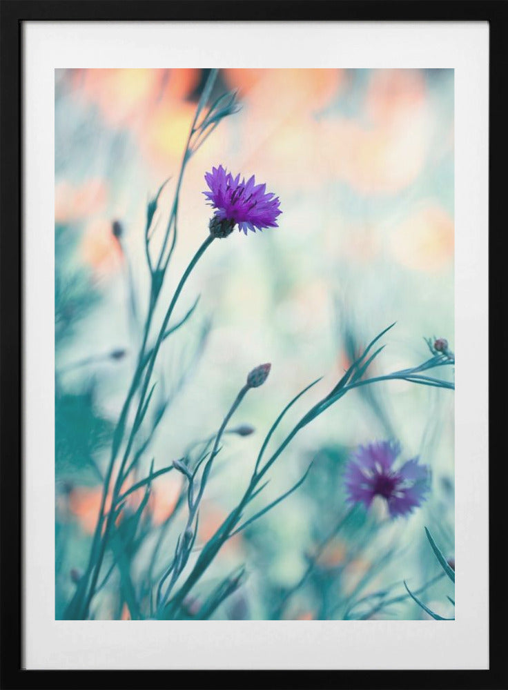 Colors game 2 - Art Print by Fabien BRAVIN