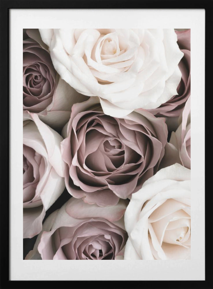 Roses - Art Print by Pictufy Studio III