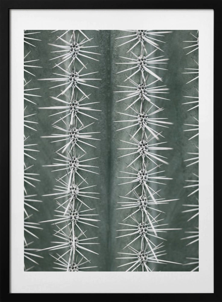 Cactus green - Art Print by Pictufy Studio III