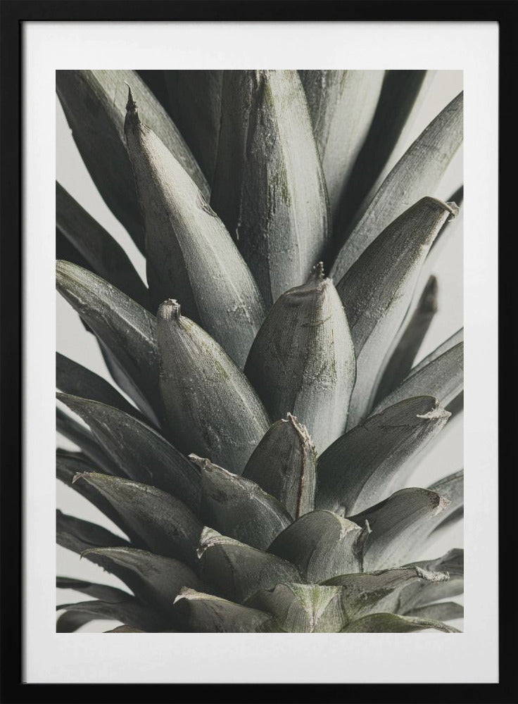 Pineapple close up - Art Print by Pictufy Studio III