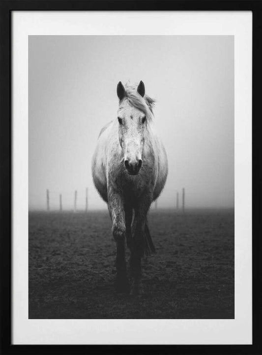 Confidence - Art Print by Christophe Staelens