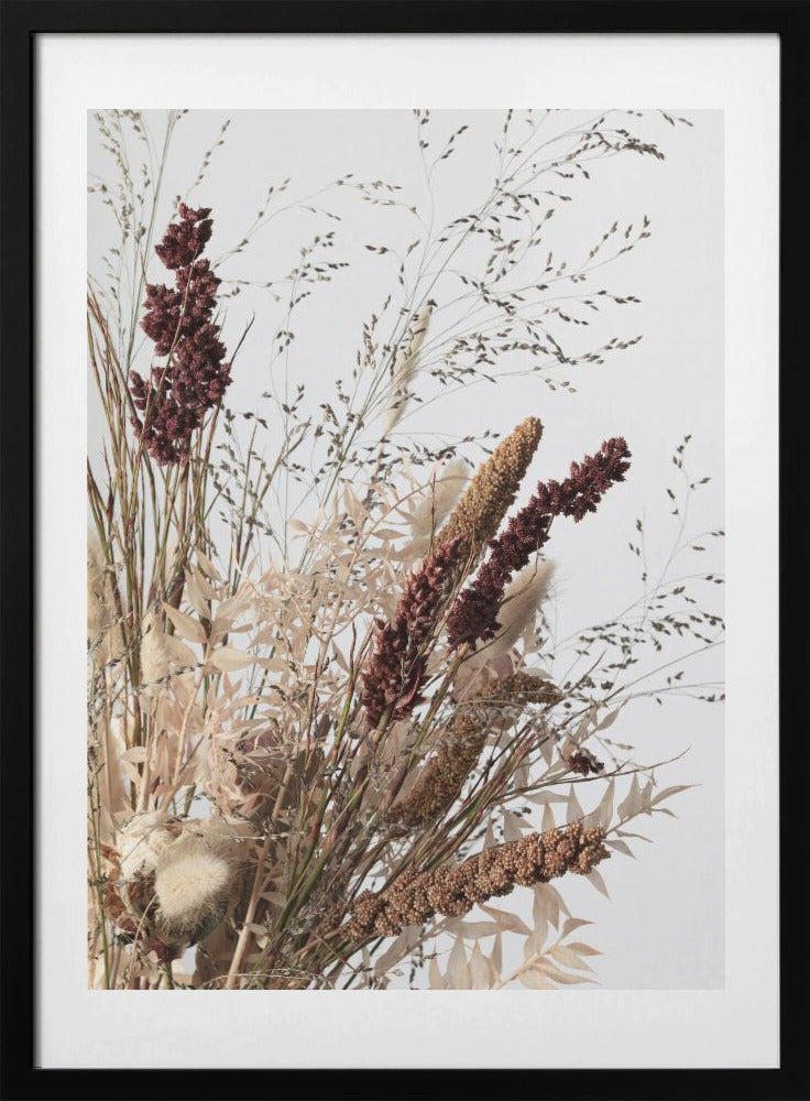 Dried_001 - Art Print by Pictufy Studio III