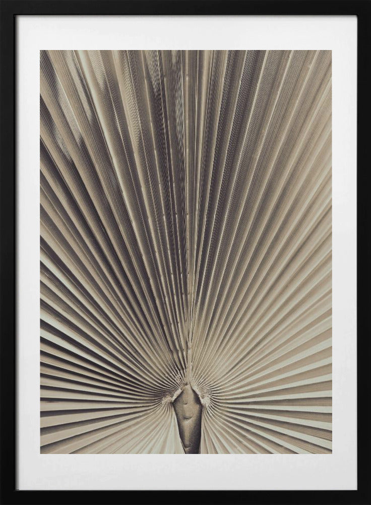 Palmblad_001 - Art Print by Pictufy Studio III