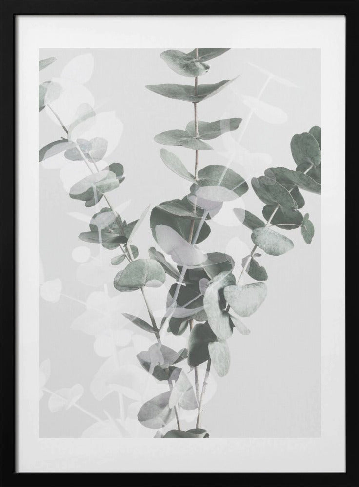 Eucalyptus_002 - Art Print by Pictufy Studio III