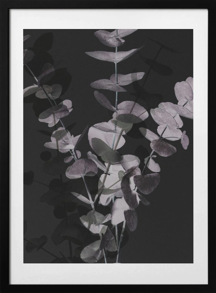 Eucalyptus_Negative_001 - Art Print by Pictufy Studio III