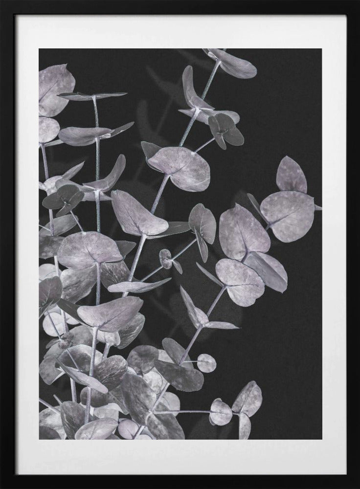 Eucalyptus_Negative_003 - Art Print by Pictufy Studio III