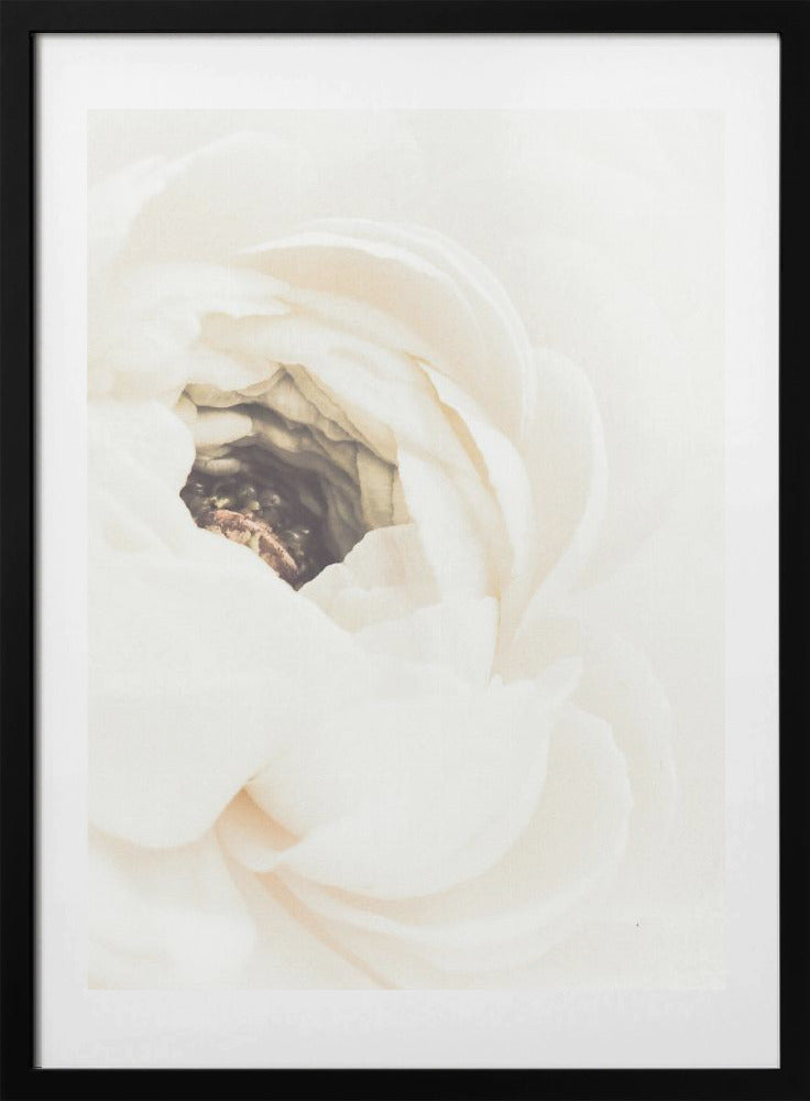 White Flower 01 - Art Print by Pictufy Studio III