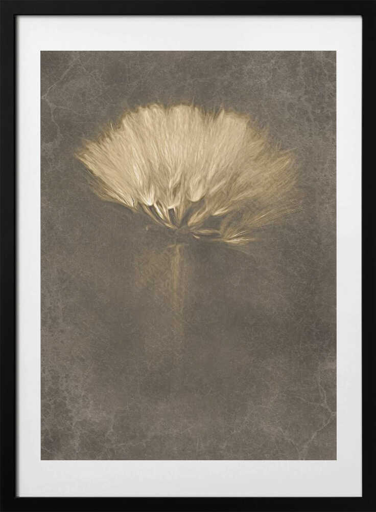 Soft Dandelion Dream - Art Print by Cicek Kiral