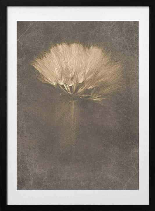 Soft Dandelion Dream - Art Print by Cicek Kiral