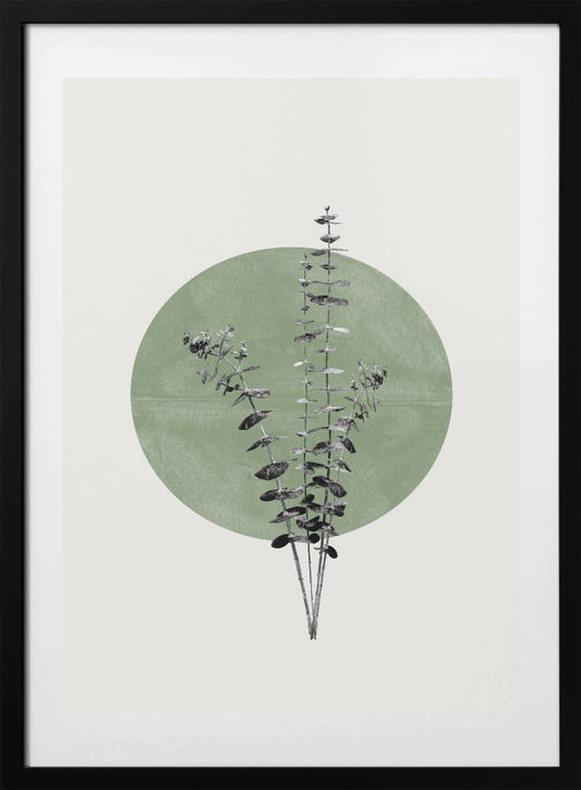 Nature's Echo - Art Print by THE MIUUS STUDIO