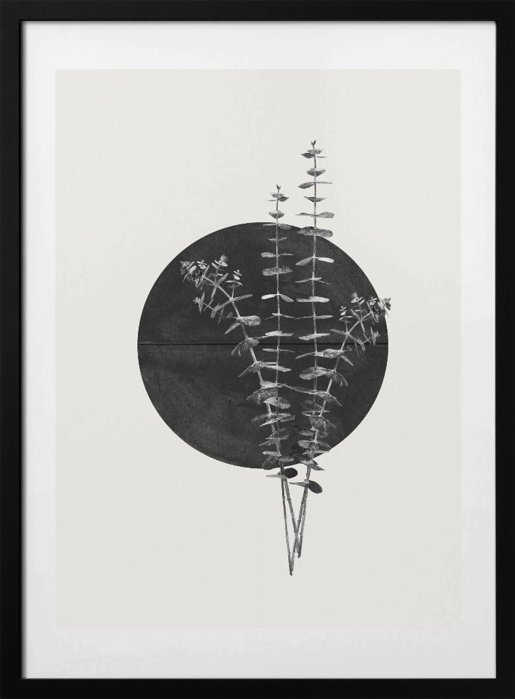 Eucalyptus Moon - Art Print by THE MIUUS STUDIO