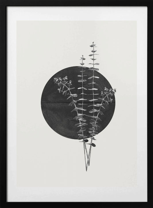 Eucalyptus Moon - Art Print by THE MIUUS STUDIO