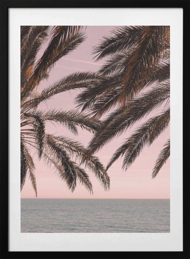 Palm_011 - Art Print by Pictufy Studio III