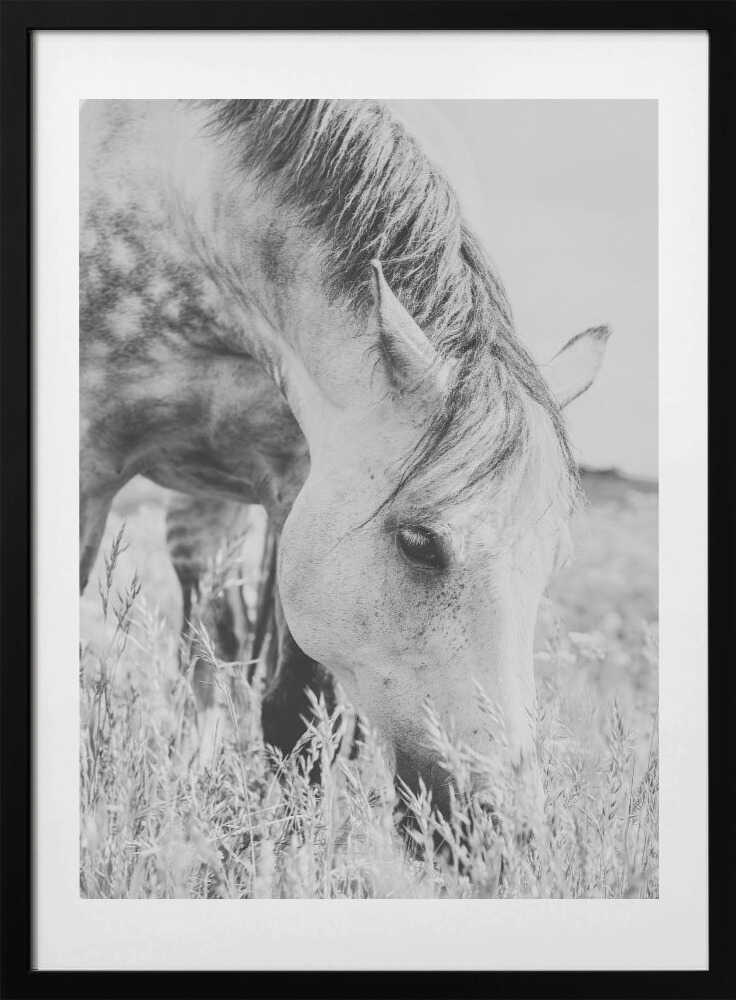 stallion - Art Print by Arendina de Jong
