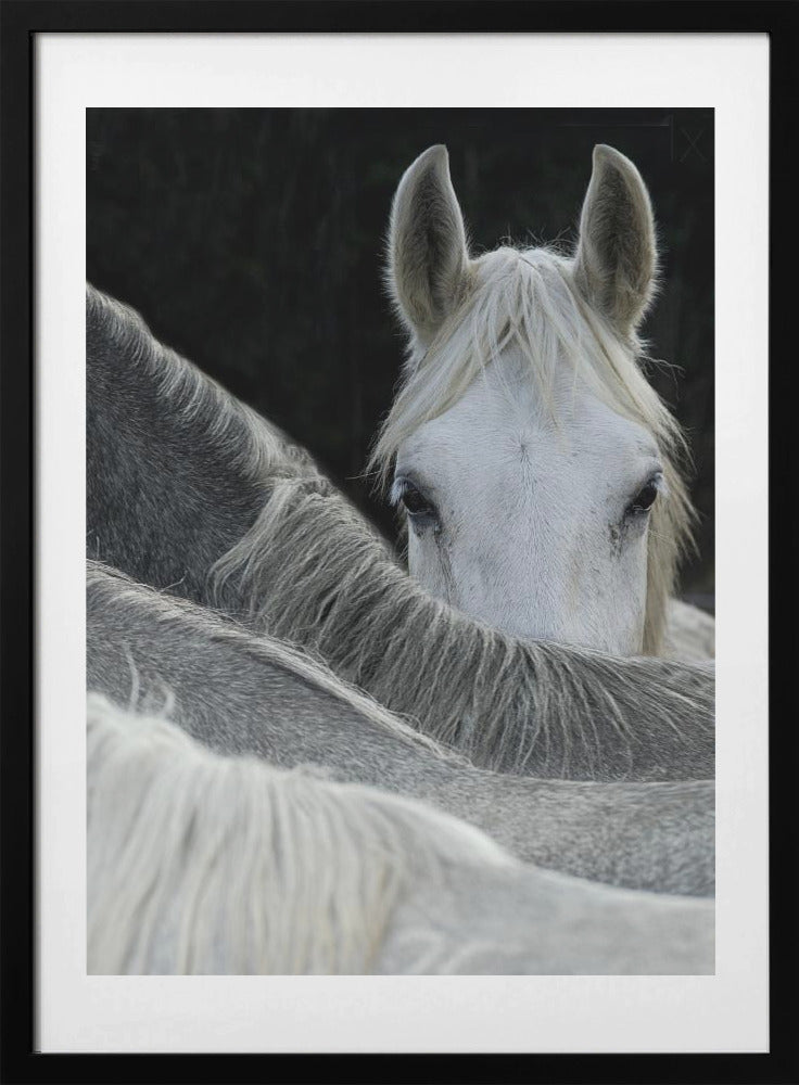 Look - Art Print by Milan Malovrh