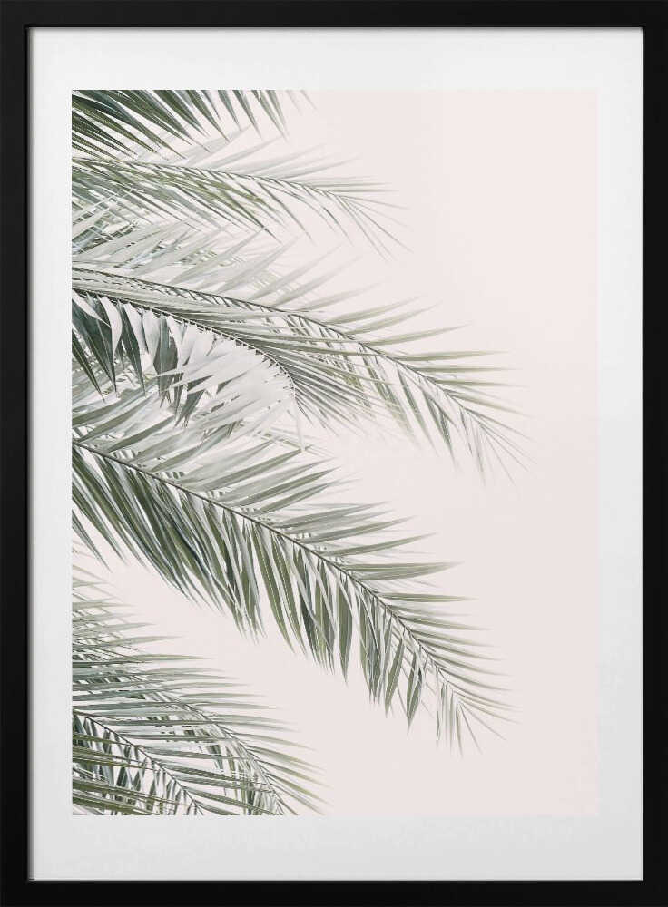 Blush Palm Leaves - Art Print by Kathrin Pienaar
