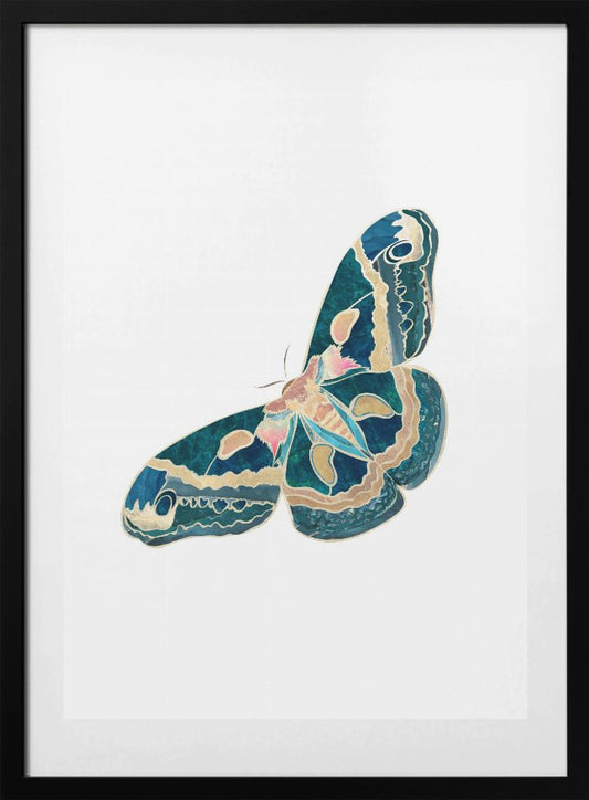 Green White Moth Butterfly - Art Print by Sarah Manovski