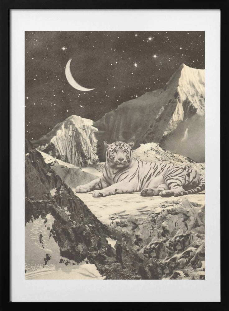 Giant White Tiger - Art Print by Florent Bodart