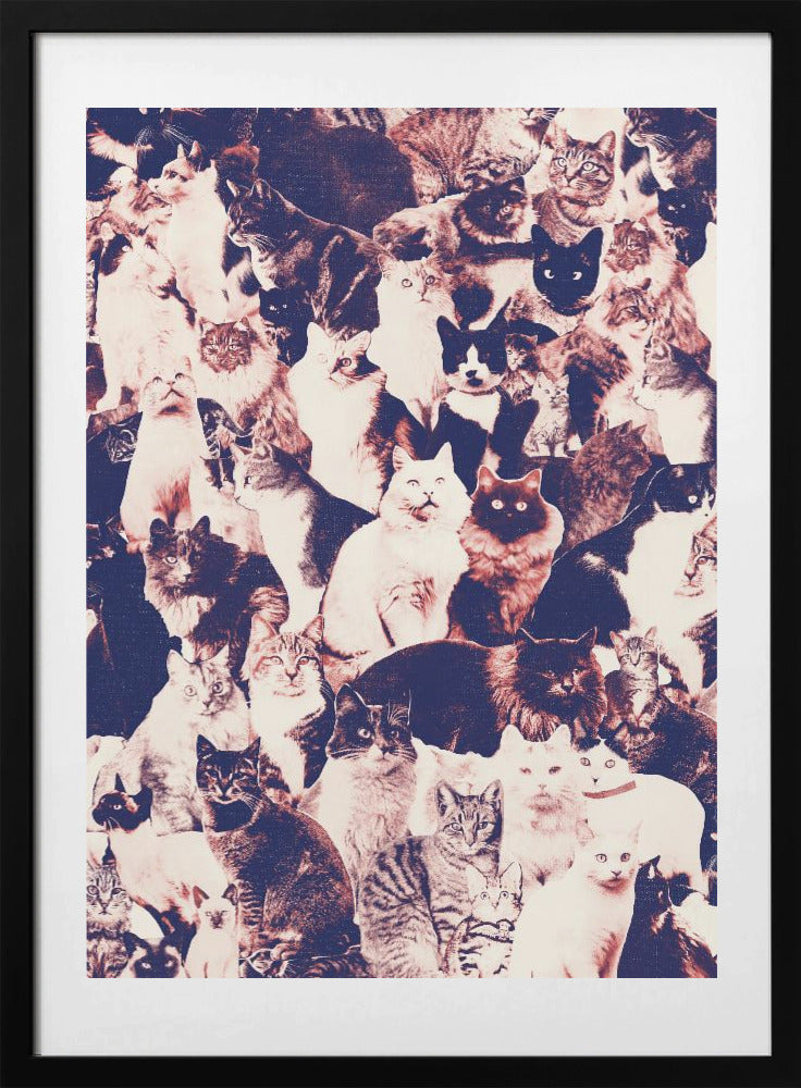 Cats Forever - Art Print by Florent Bodart