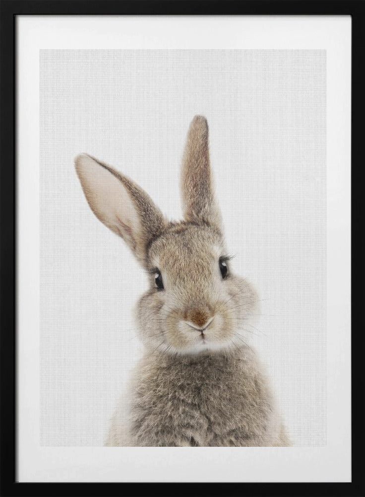 Peekaboo Bunny - Art Print by Lola Peacock