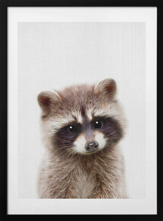 Peekaboo Raccoon - Art Print by Lola Peacock