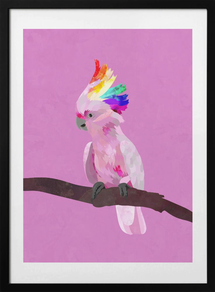 Pride Galah - Art Print by Sarah Manovski