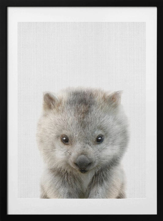 Peekaboo Baby Wombat - Art Print by Lola Peacock