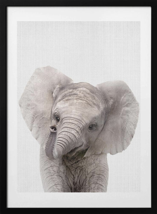 Peekaboo Baby Elephant - Art Print by Lola Peacock