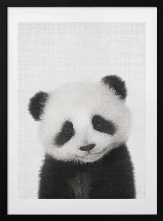 Peekaboo Baby Panda - Art Print by Lola Peacock