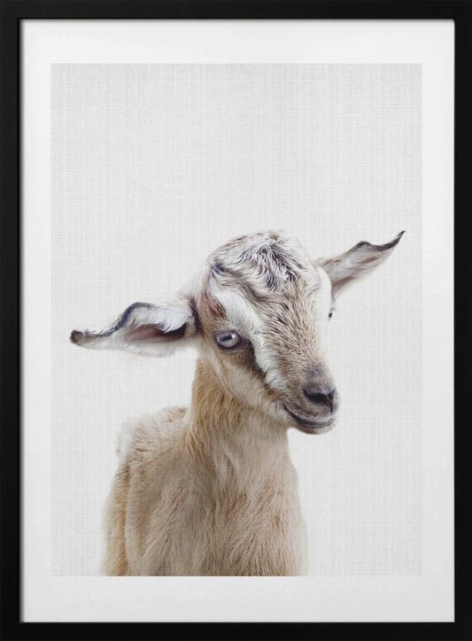 Peekaboo Baby Goat - Art Print by Lola Peacock