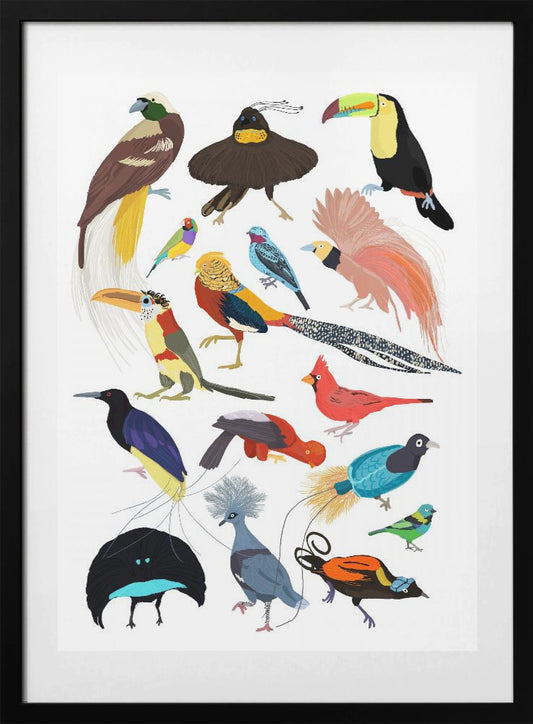 Birds of Paradise - Art Print by Hanna Melin