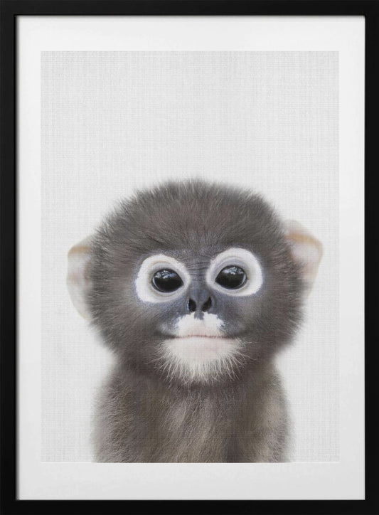 Peekaboo Baby Monkey - Art Print by Lola Peacock