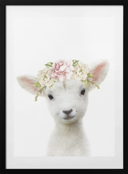Floral Baby Sheep - Art Print by Lola Peacock