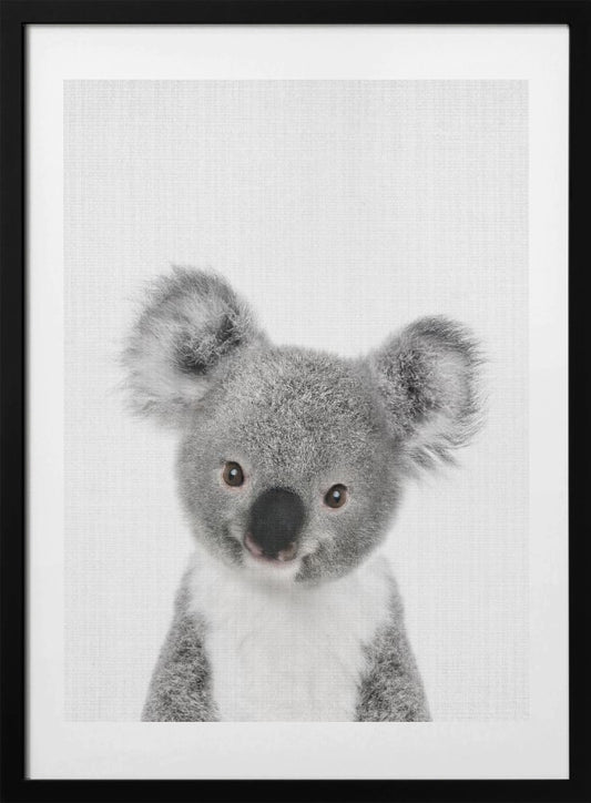 Peekaboo Baby Koala - Art Print by Lola Peacock