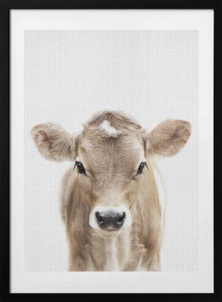 Peekaboo Baby Cow - Art Print by Lola Peacock
