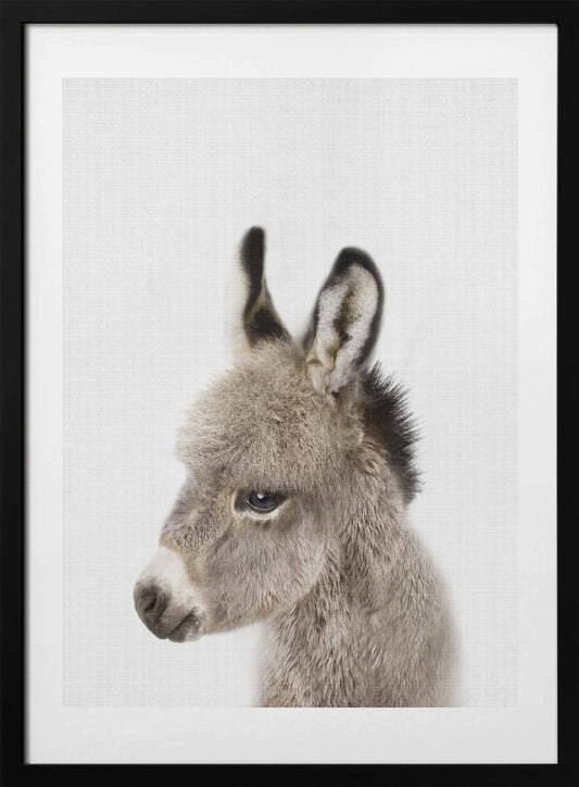 Peekaboo Baby Donkey - Art Print by Lola Peacock