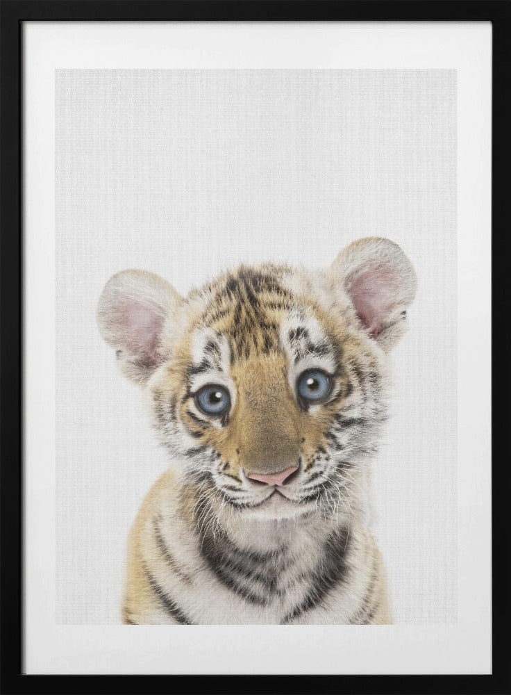 Peekaboo Baby Tiger - Art Print by Lola Peacock