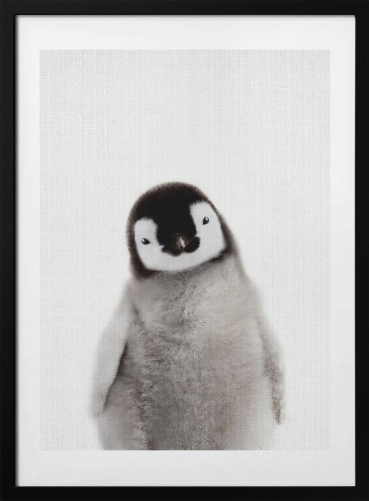 Peekaboo Baby Penguin - Art Print by Lola Peacock
