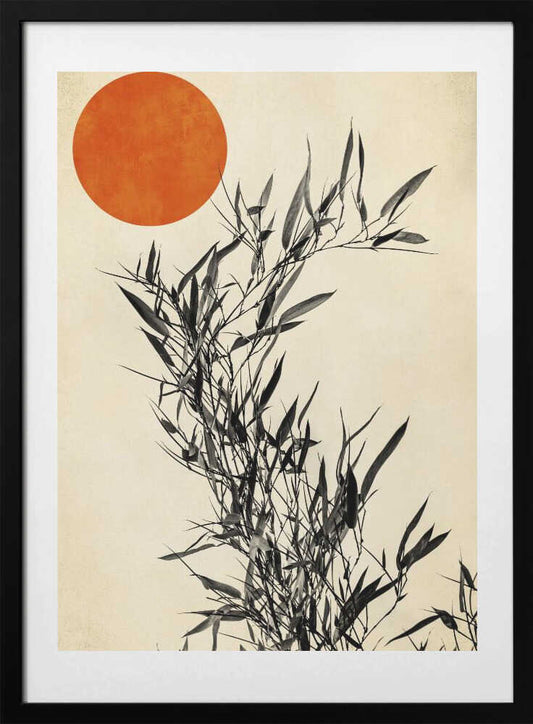 Japanese Birch - Art Print by Kubistika