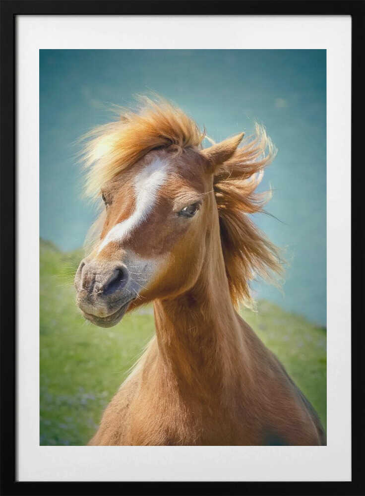 Happy horse - Art Print by Hans Repelnig