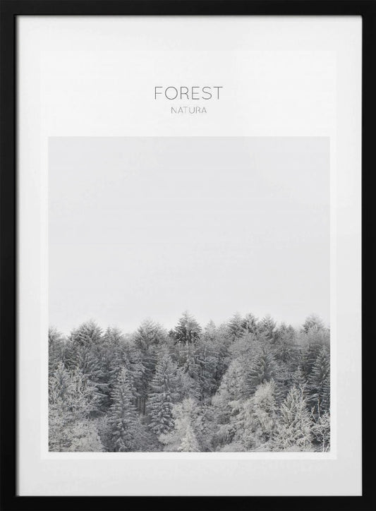 Frosted Tranquility - Art Print by THE MIUUS STUDIO