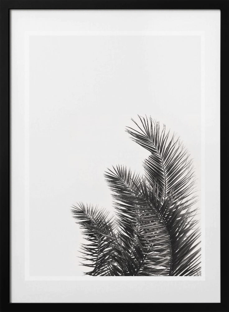 Palm Whisper - Art Print by THE MIUUS STUDIO